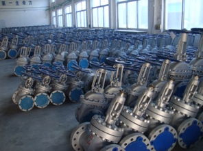 江蘇鎮(zhèn)江鑄造閥門 立足閥門做大閥門產(chǎn)業(yè)